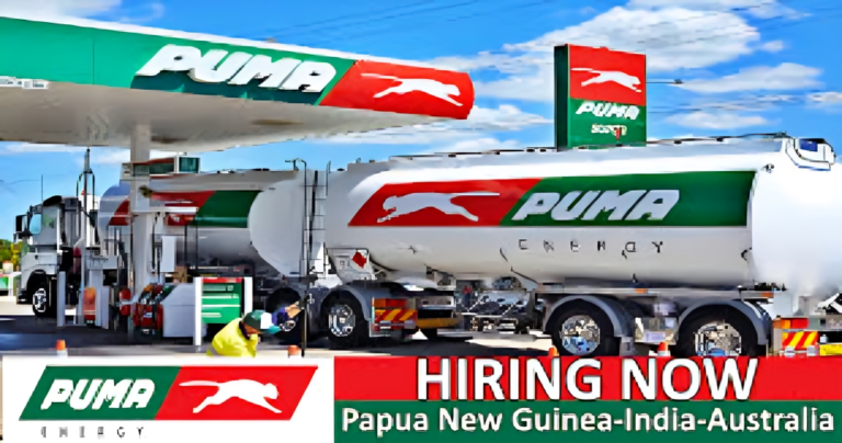 Puma Energy Careers 2024 | Explore Global Job Opportunities