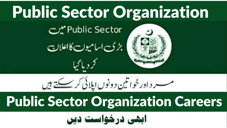 Public Sector Organization